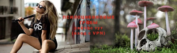 амф Михайловск
