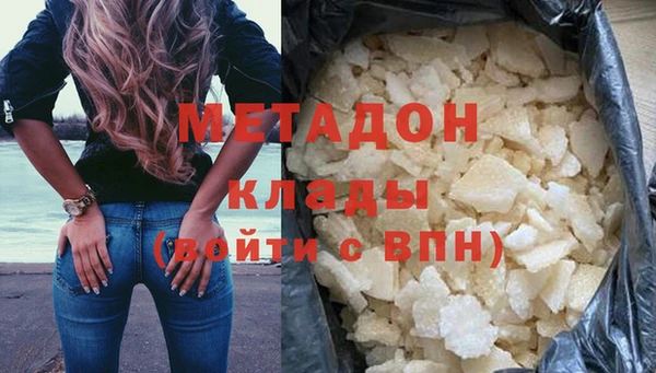 прущие грибы Богданович