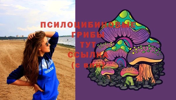 PSILOCYBIN Михайловка