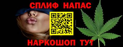 гидропоника Моздок
