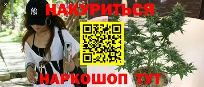 дмт Можга