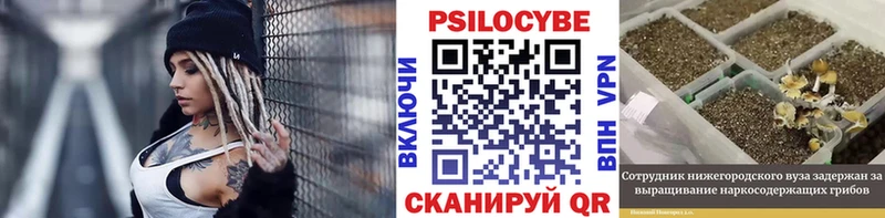 Псилоцибиновые грибы прущие грибы  где купить наркоту  Можга 