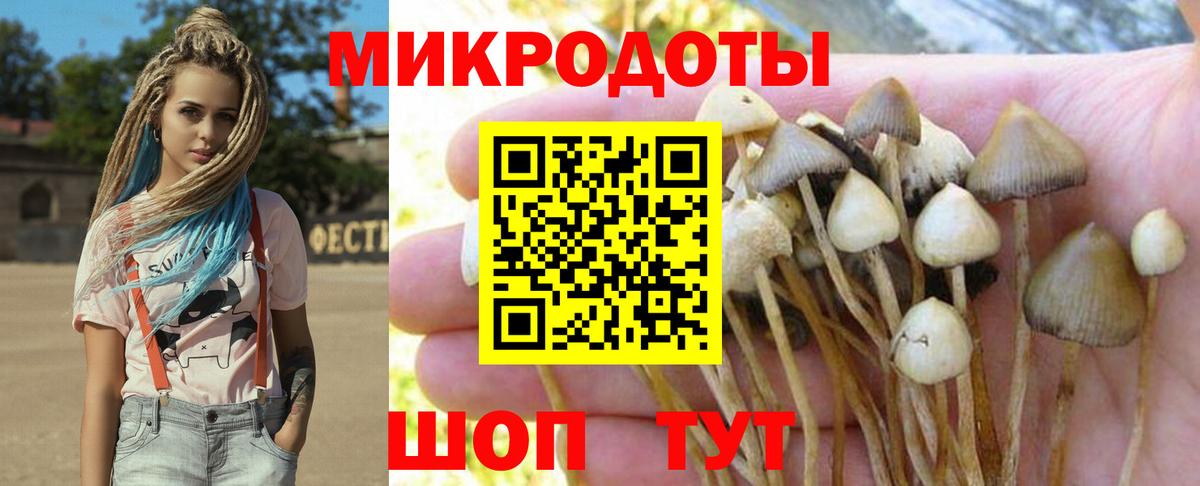 Галлюциногенные грибы Psilocybine cubensis Можга