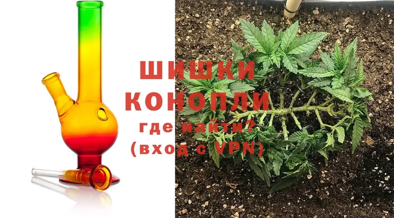 Бошки марихуана гибрид  MEGA сайт  Можга 